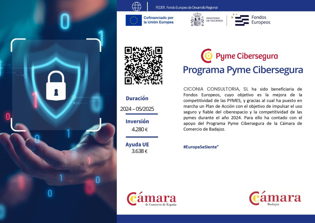 Pyme Cibersegura Feder A3 Empresa Cayetano Page 0001
